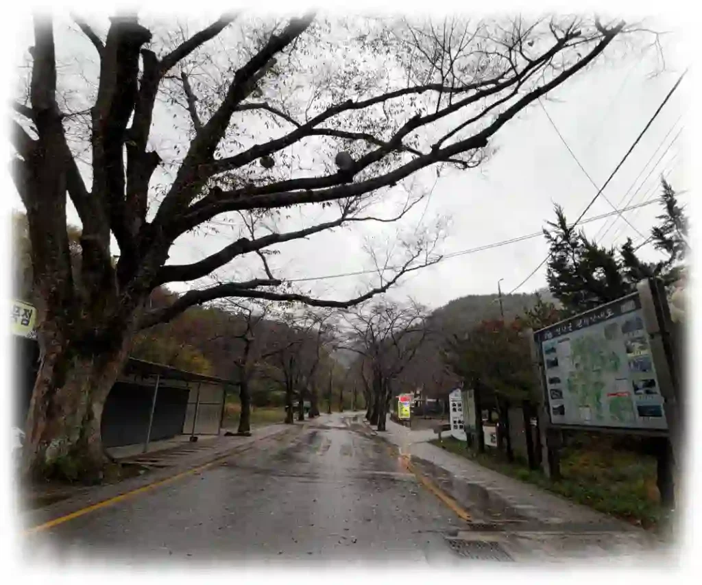 Maisan Mountain 1